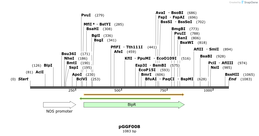 71265_map