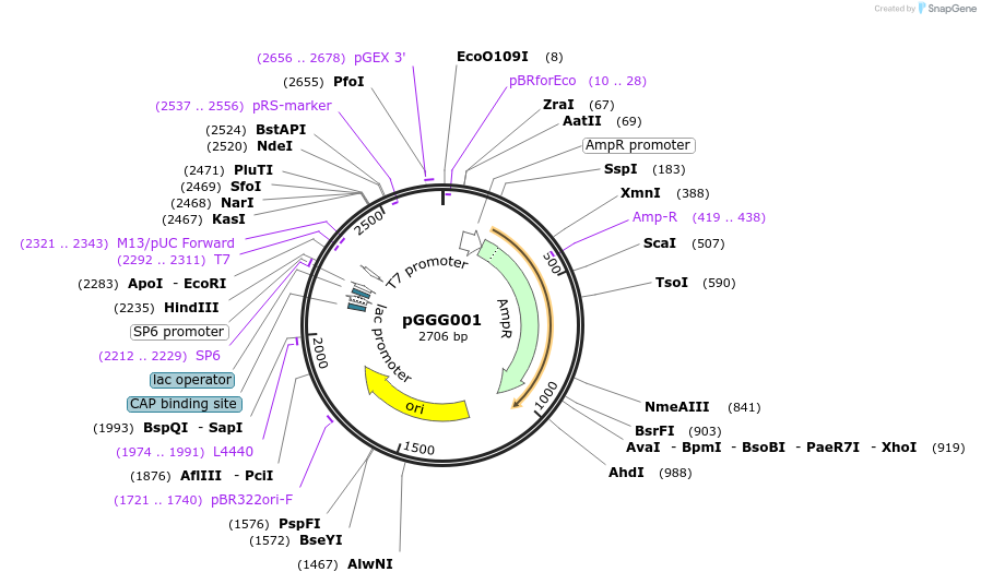 48850-plasmid-map-sequence-id-71268