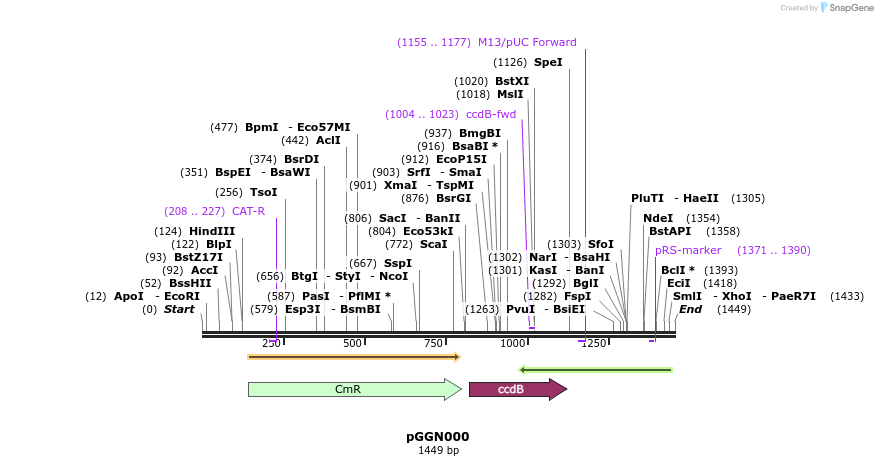 71299_map
