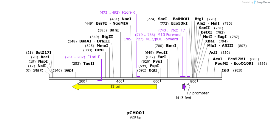 71314_map