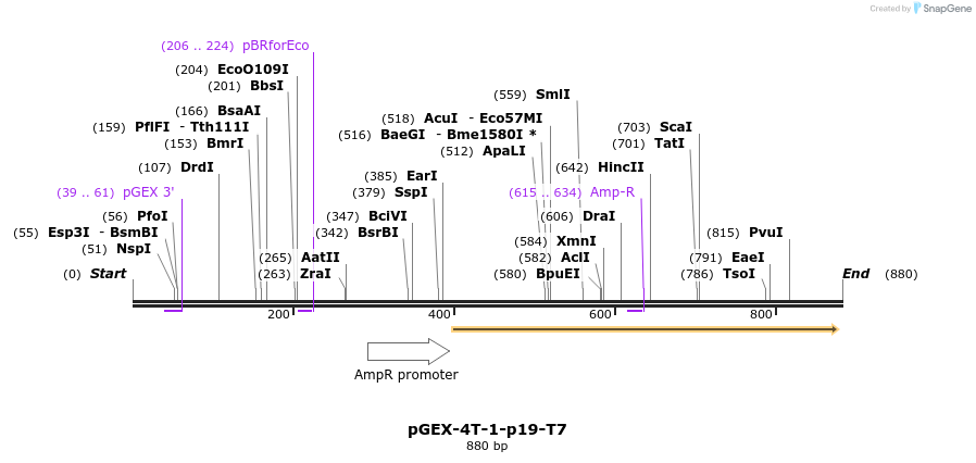 71315_map