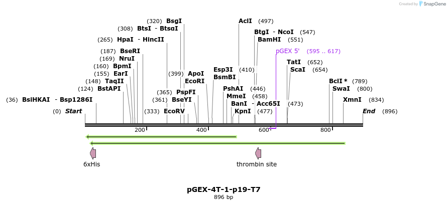 71316_map
