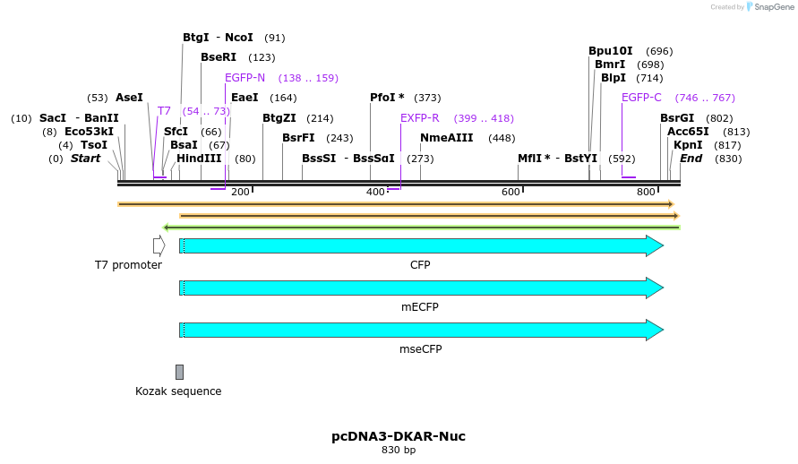 71318_map