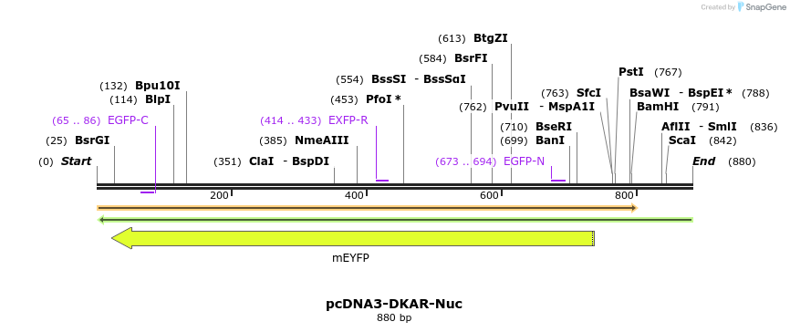 71320_map