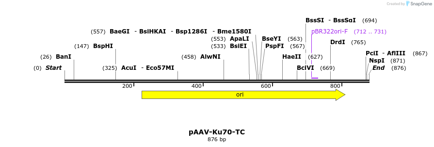 71322_map