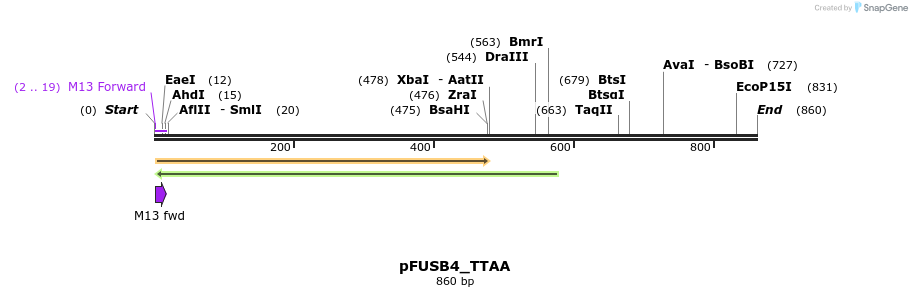71333_map