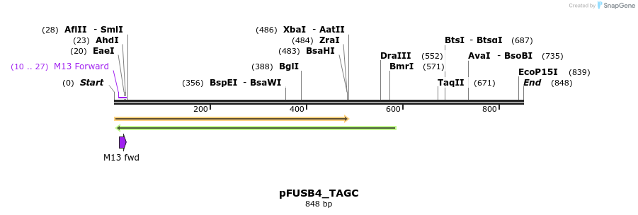 71336_map