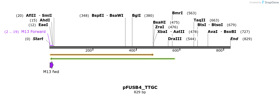 71343_map