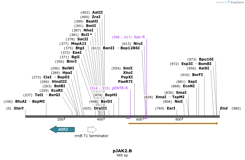 71348_map
