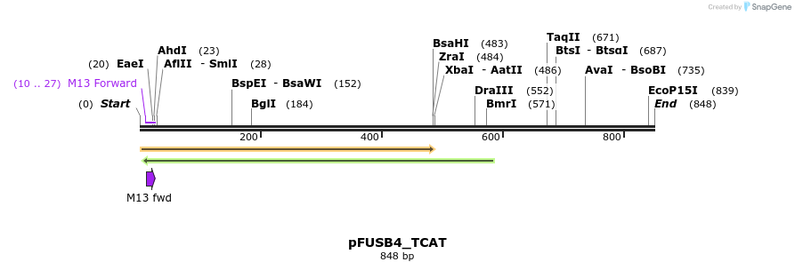 71357_map