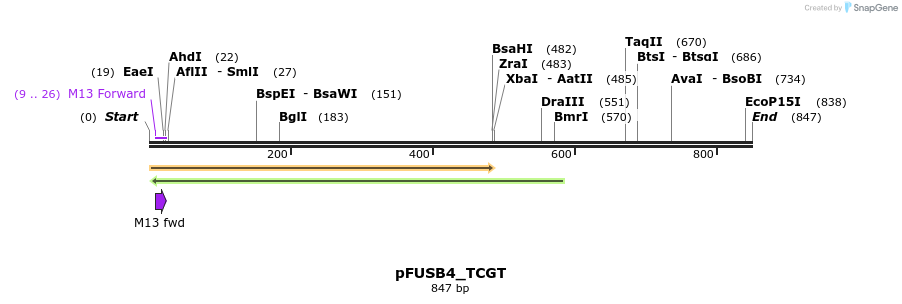 71358_map