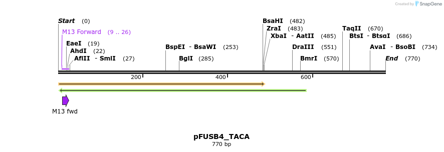 71375_map