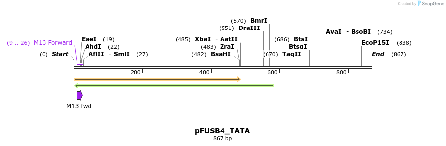 71376_map