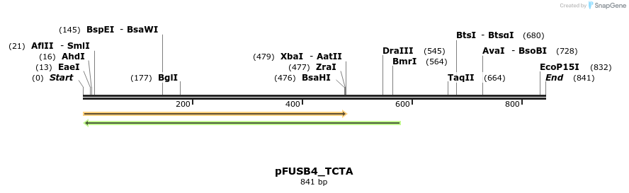 71378_map