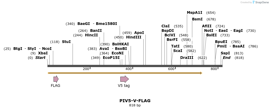 71384_map