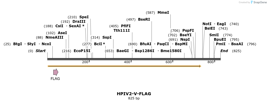 71386_map