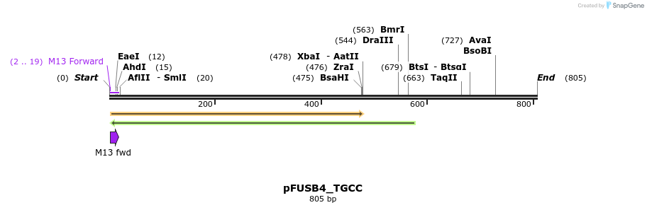 71389_map
