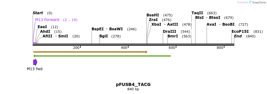 71393_map