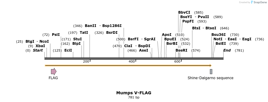 71396_map