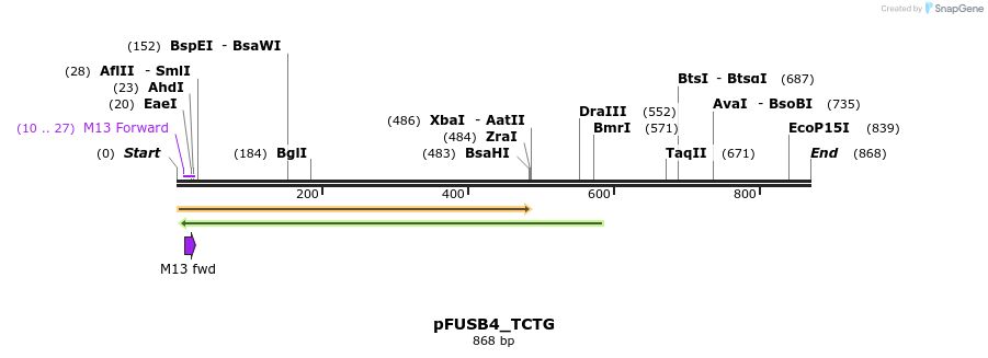 71397_map