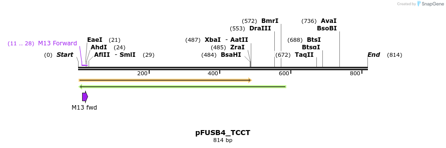 71411_map