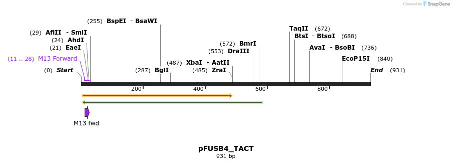 71416_map