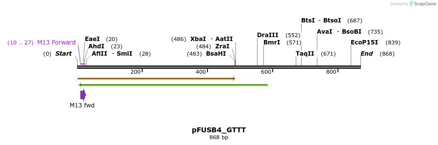 71419_map