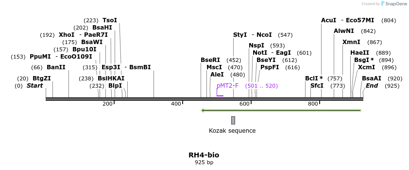 71434_map
