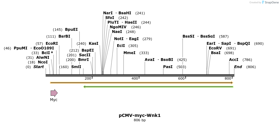 71435_map