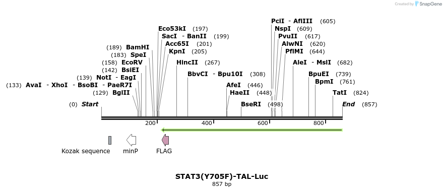 71439_map