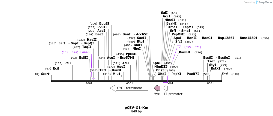 71440_map