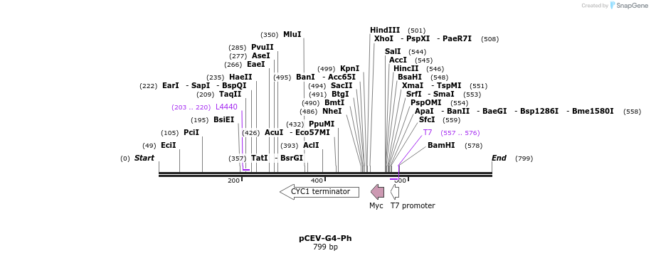 71441_map
