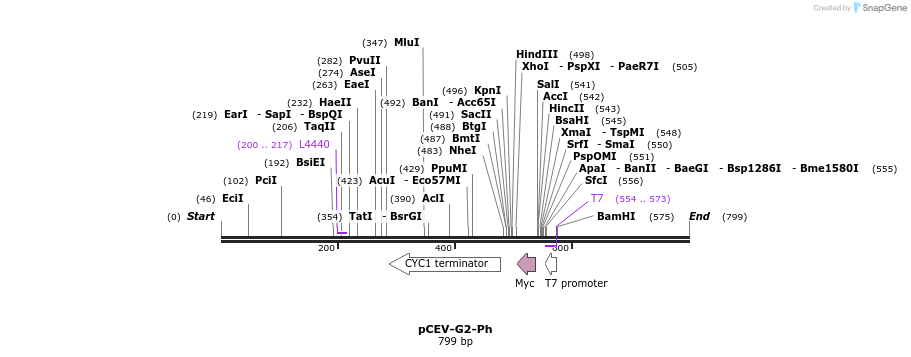 71445_map