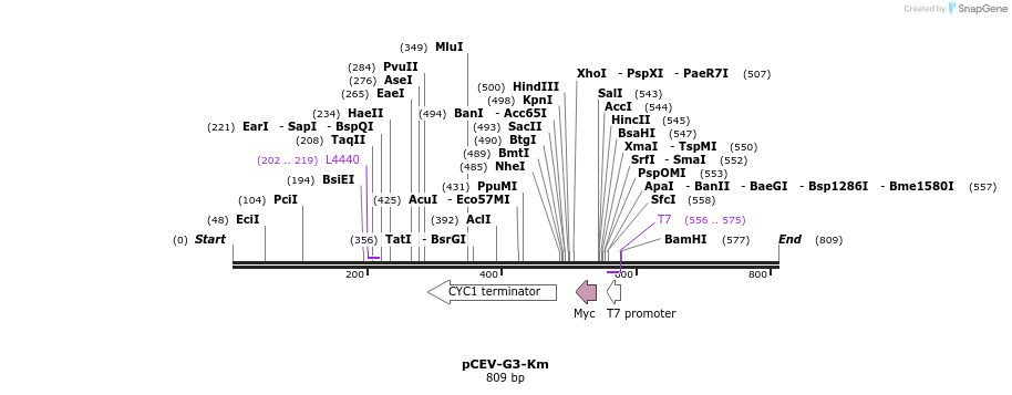 71446_map