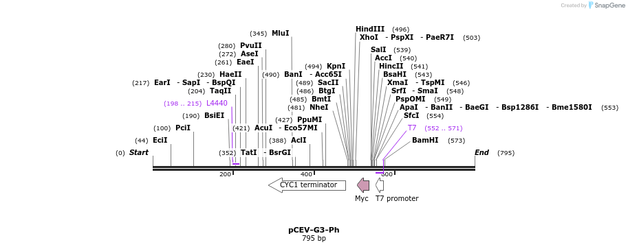 71447_map