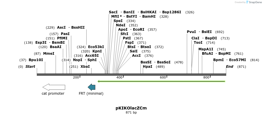 71450_map
