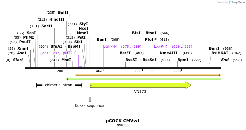 71452_map