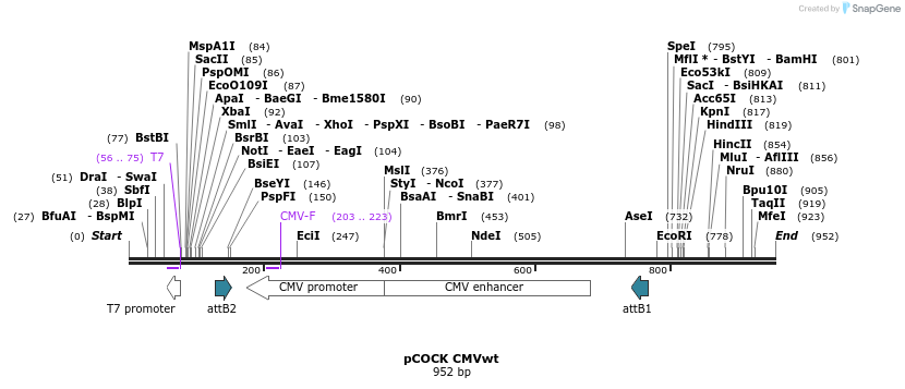 71454_map