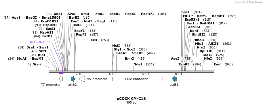 71462_map