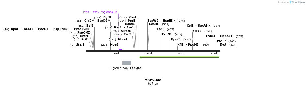 71464_map