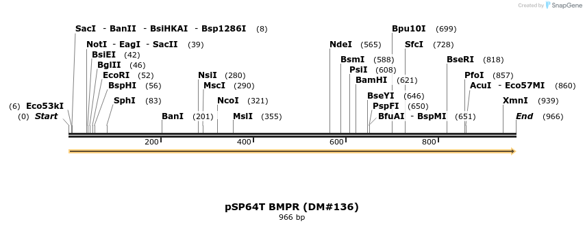 71466_map