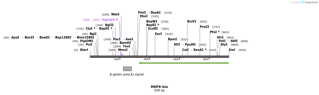 71488_map