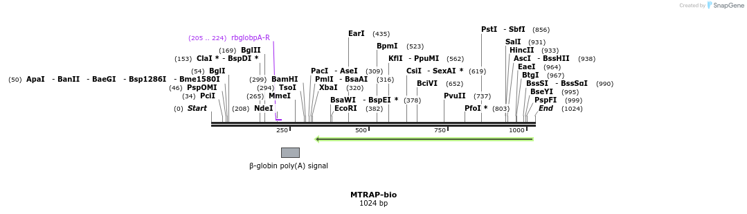 71503_map