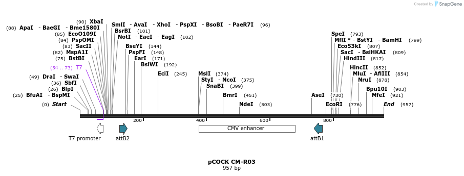 71519_map