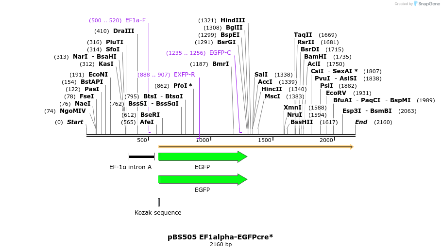 7152_map