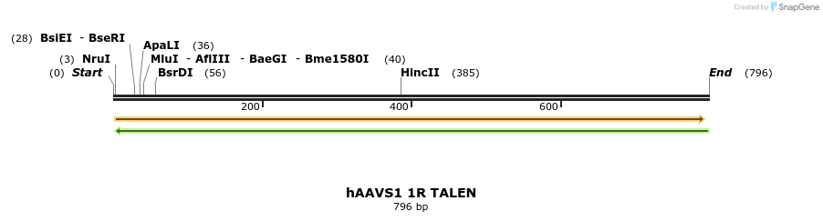 71546_map
