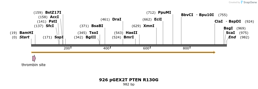 71553_map