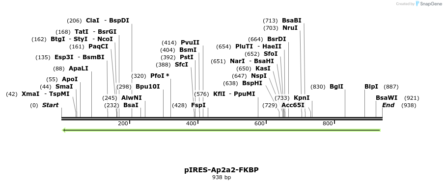 71555_map