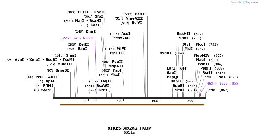 71557_map