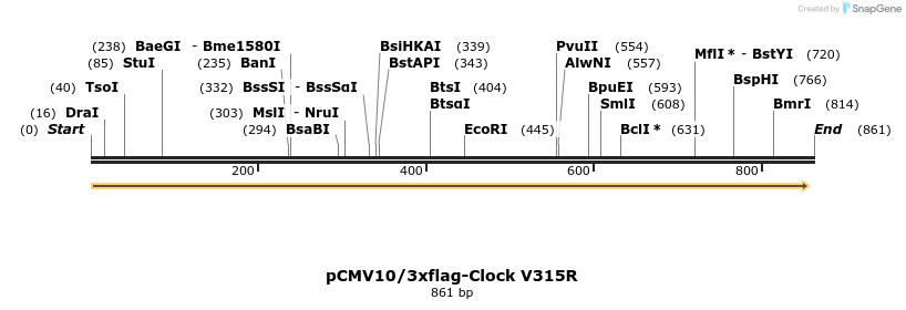 71562_map